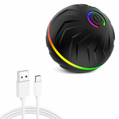 EverPaw™ MotionBall – Interactive Dog Toy