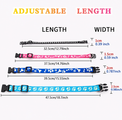 Everpaw™ NightGuard Collar