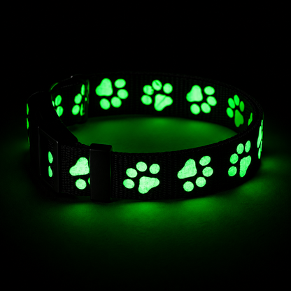 Everpaw™ NightGuard Collar