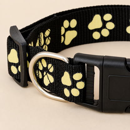 Everpaw™ NightGuard Collar