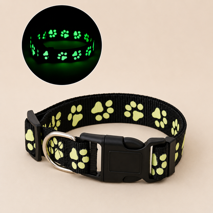Everpaw™ NightGuard Collar