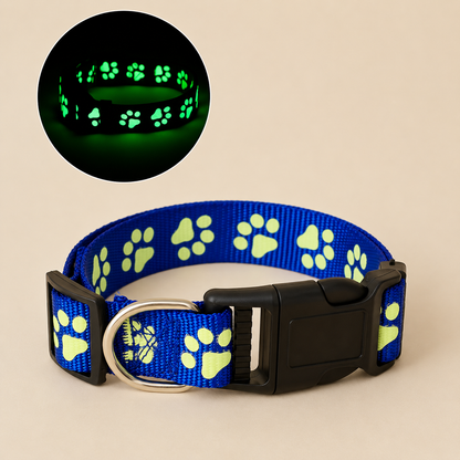 Everpaw™ NightGuard Collar
