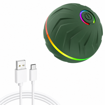 EverPaw™ MotionBall – Interactive Dog Toy